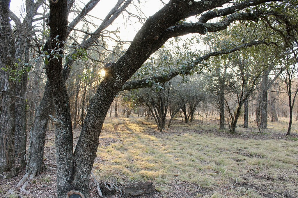 Lot 49 Tatanka Trail Gustine TX 76455