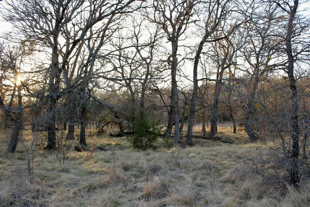 Lot 49 Tatanka Trail Gustine TX 76455