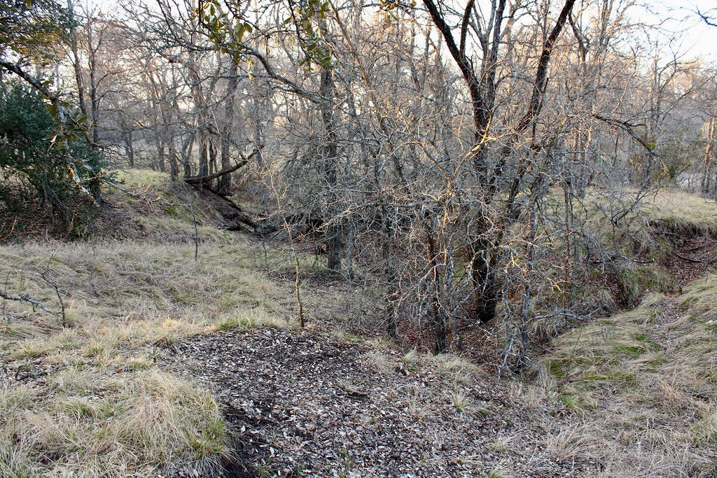 Lot 49 Tatanka Trail Gustine TX 76455