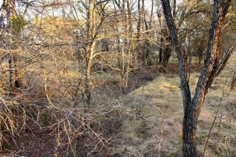Lot 49 Tatanka Trail Gustine TX 76455