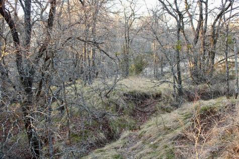 Lot 49 Tatanka Trail Gustine TX 76455