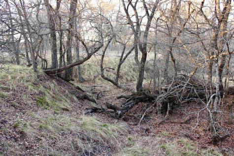 Lot 49 Tatanka Trail Gustine TX 76455