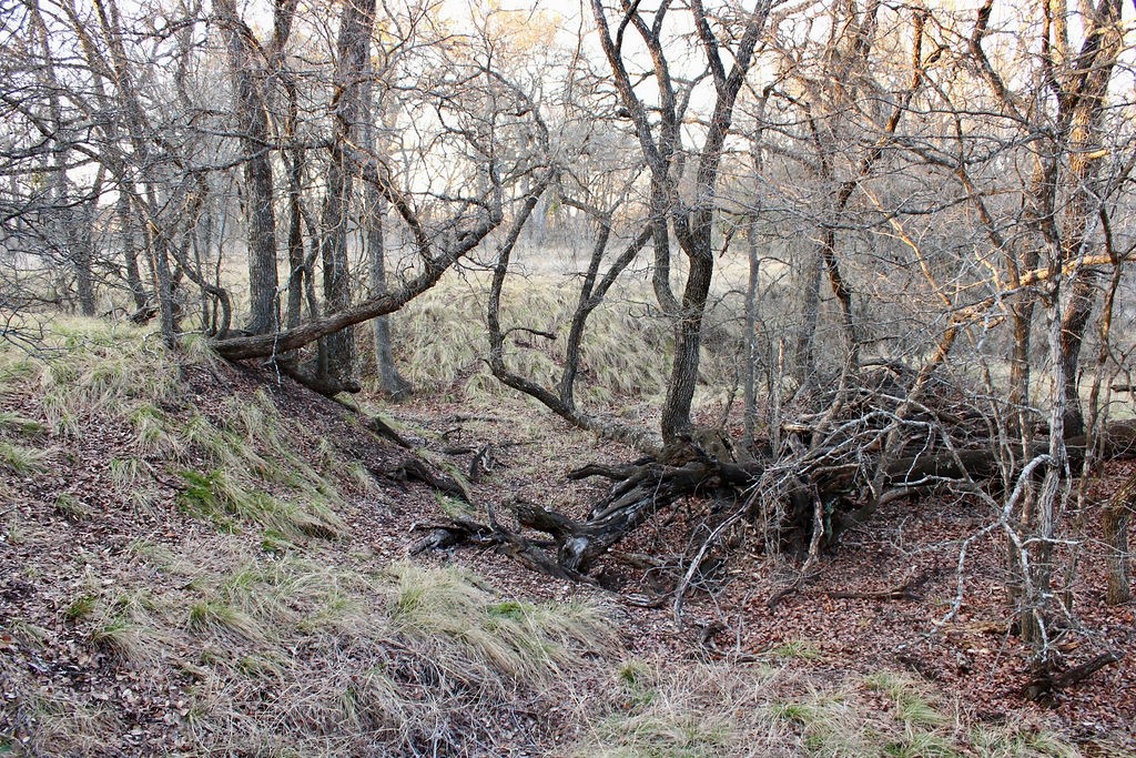 Lot 49 Tatanka Trail Gustine TX 76455