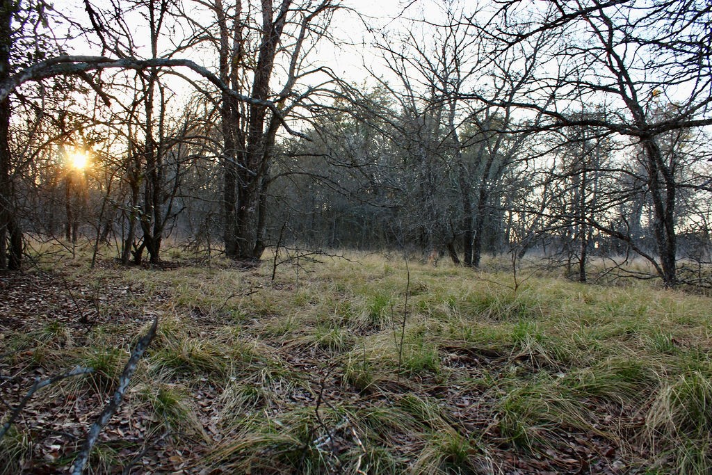 Lot 49 Tatanka Trail Gustine TX 76455
