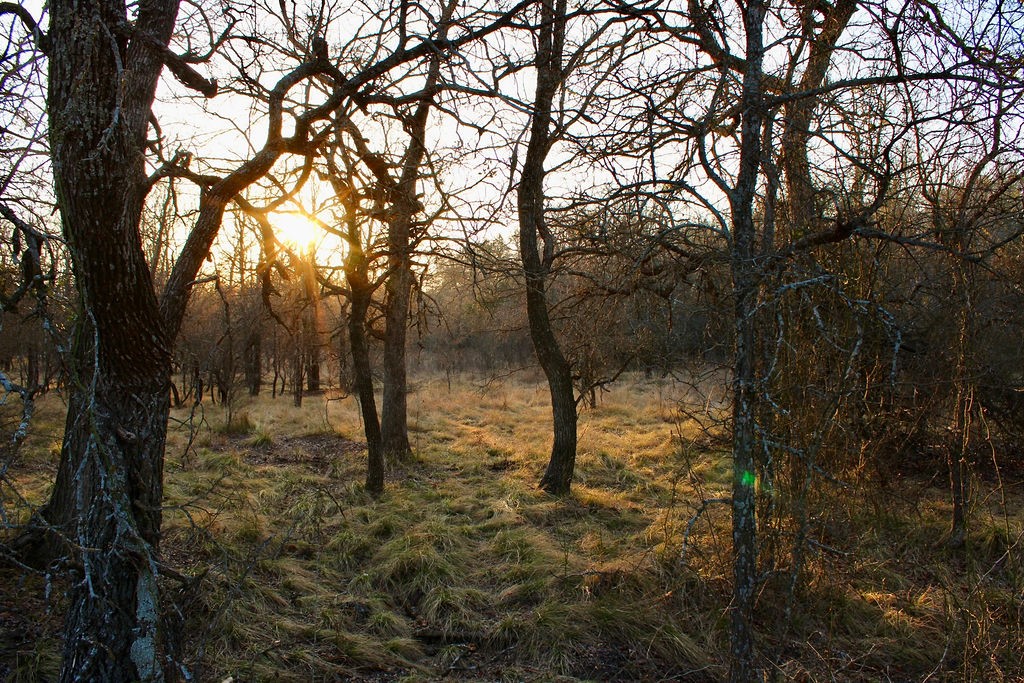 Lot 49 Tatanka Trail Gustine TX 76455