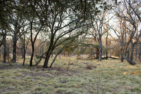 Lot 49 Tatanka Trail Gustine TX 76455