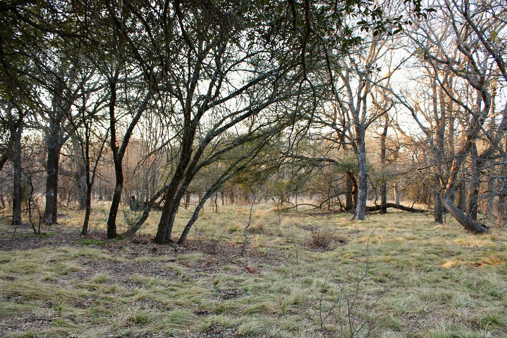 Lot 49 Tatanka Trail Gustine TX 76455