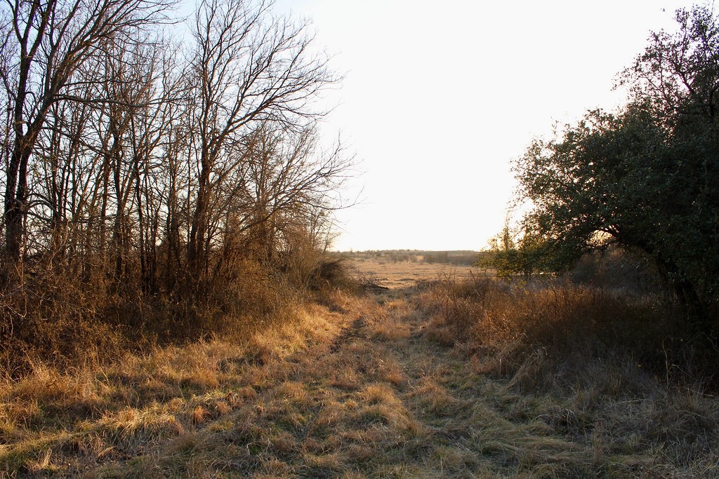 Lot 49 Tatanka Trail Gustine TX 76455