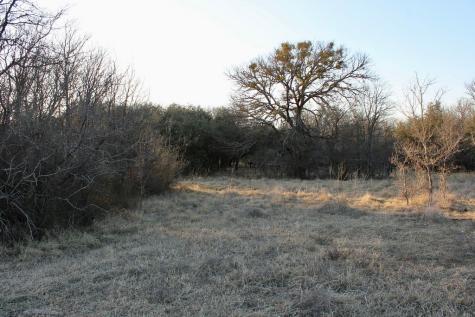 Lot 49 Tatanka Trail Gustine TX 76455