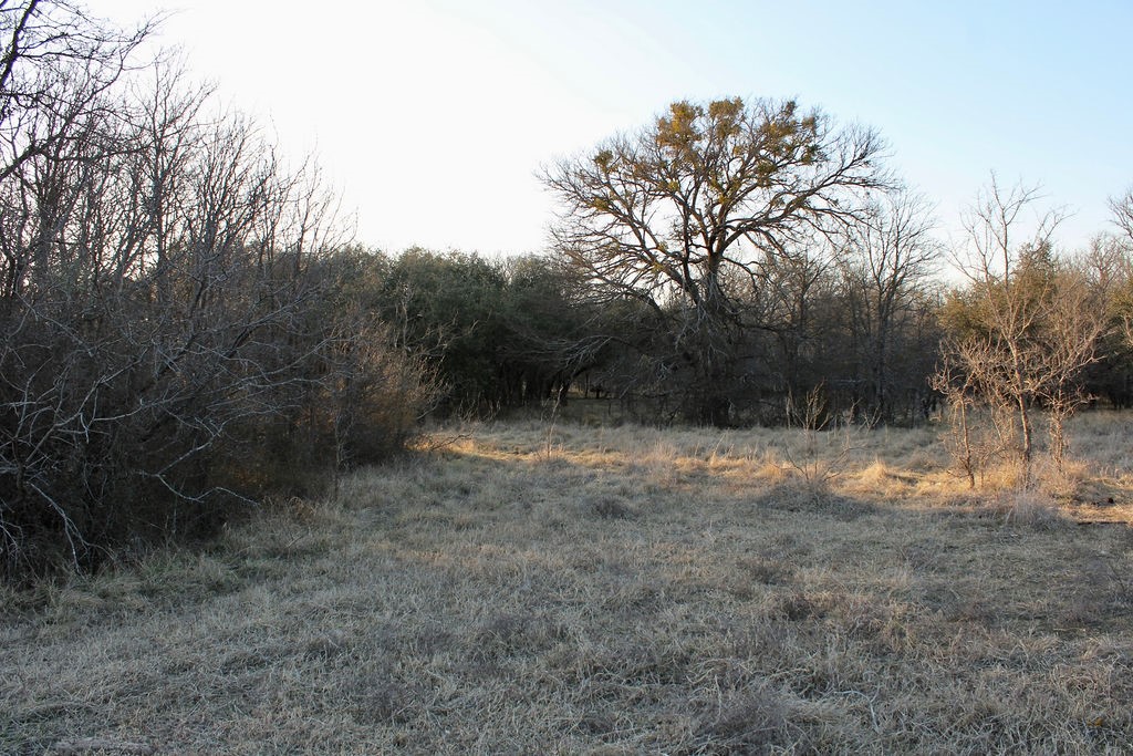 Lot 49 Tatanka Trail Gustine TX 76455