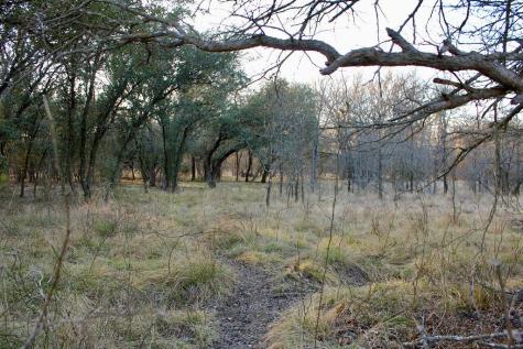 Lot 49 Tatanka Trail Gustine TX 76455