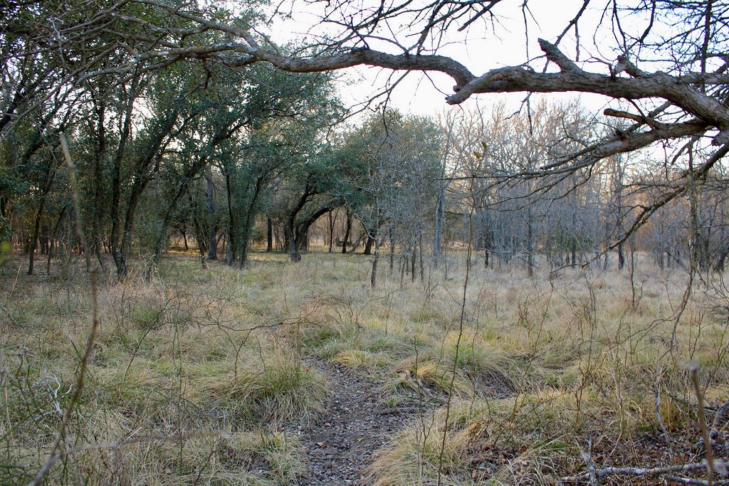 Lot 49 Tatanka Trail Gustine TX 76455