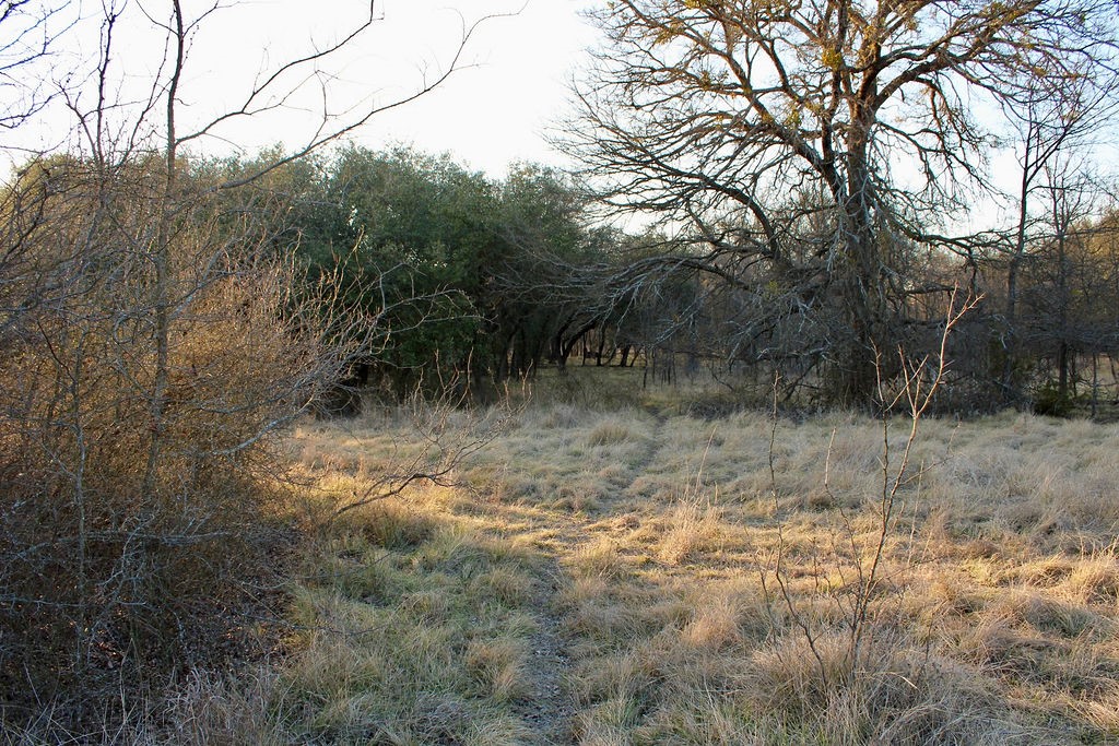 Lot 49 Tatanka Trail Gustine TX 76455