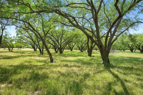 635 County Road 184 Lawn TX 79530