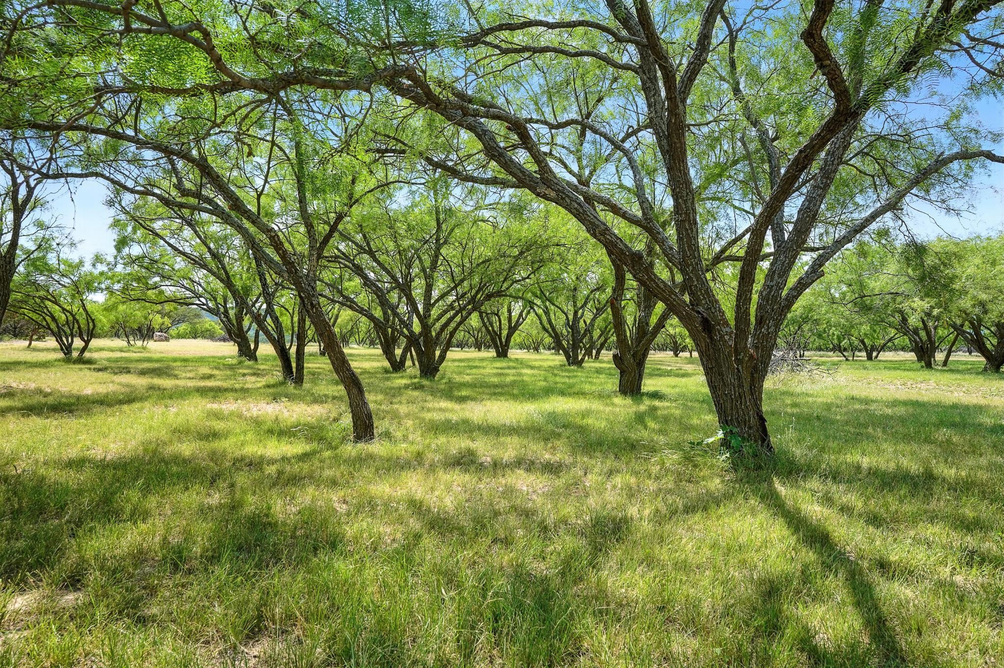 635 County Road 184 Lawn TX 79530