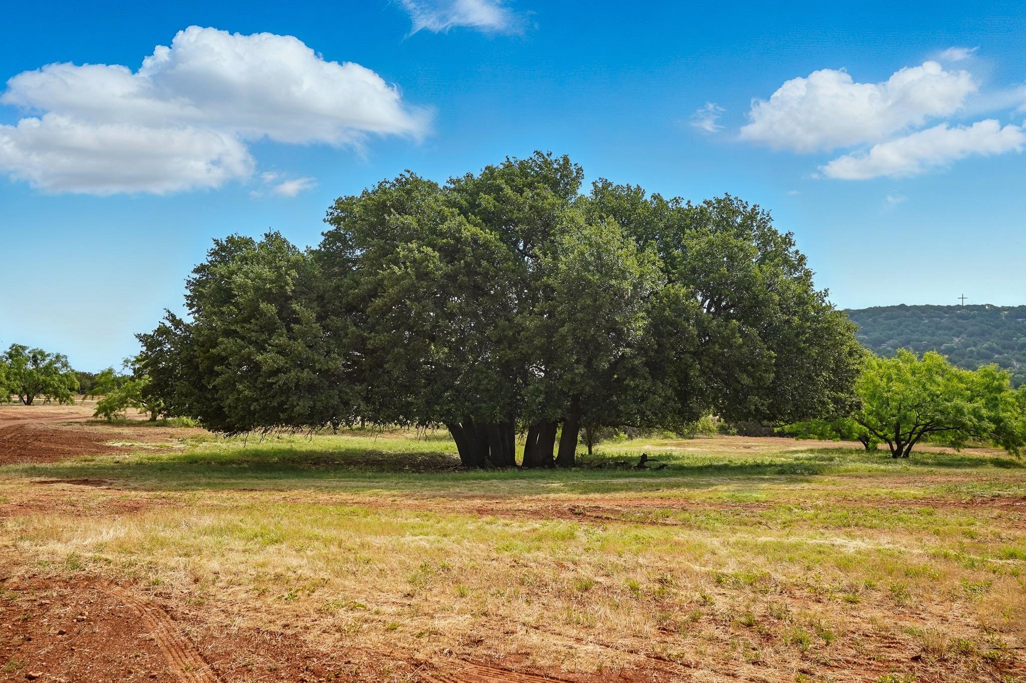 635 County Road 184 Lawn TX 79530