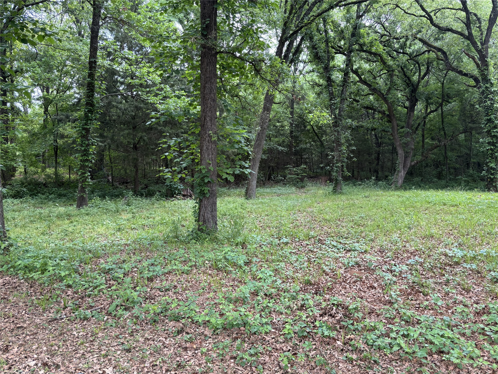 Tbd Torama Street Quinlan TX 75474