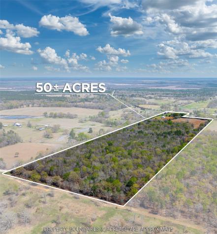 48 County Road 2360 Bagwell TX 75412