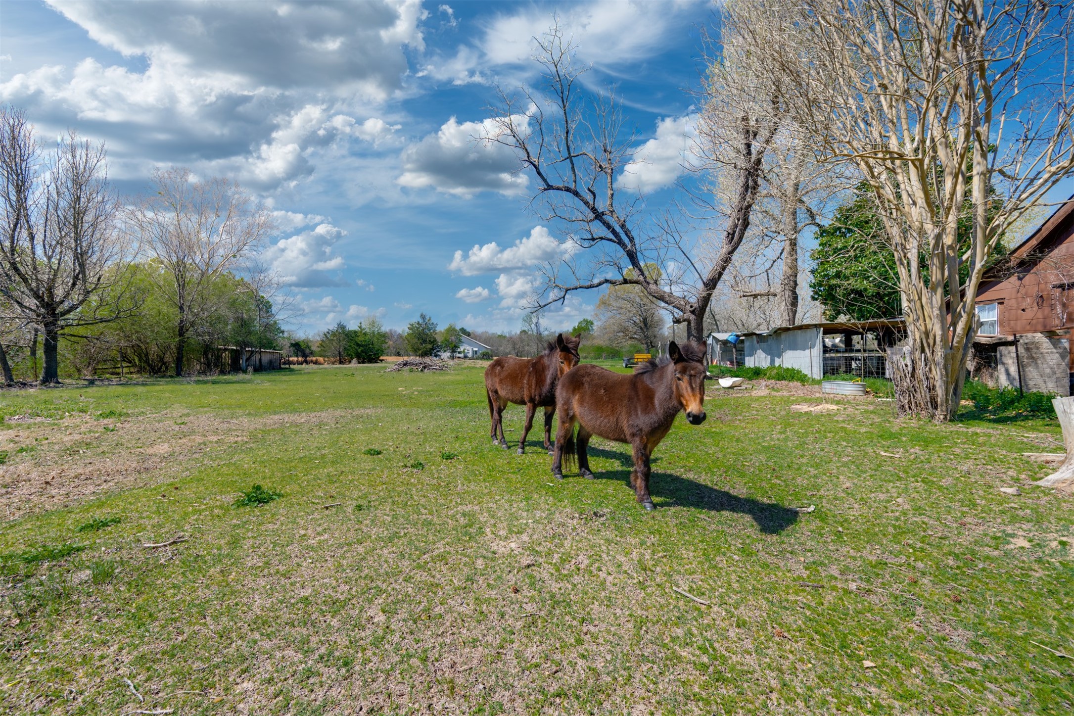 48 County Road 2360 Bagwell TX 75412