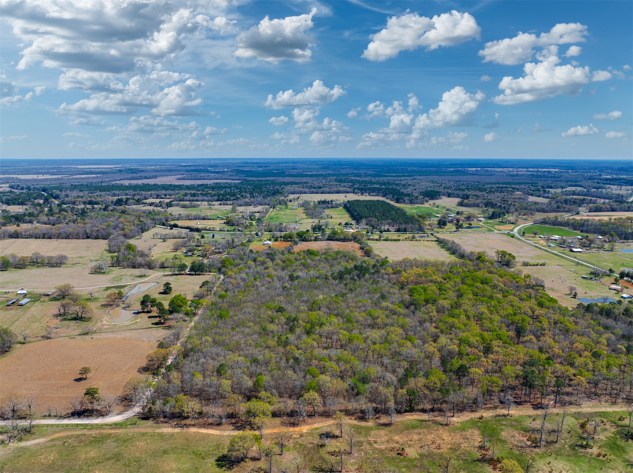48 County Road 2360 Bagwell TX 75412