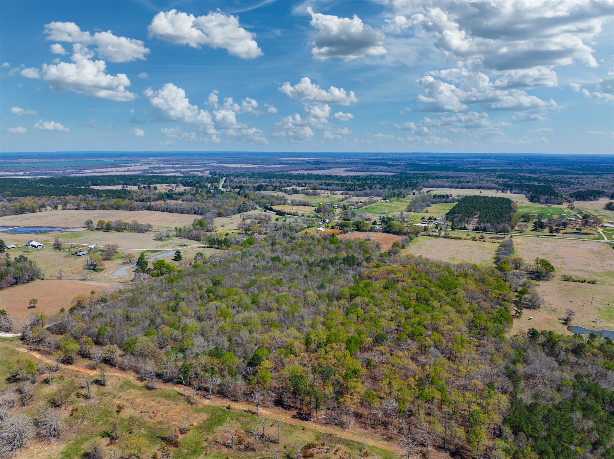 48 County Road 2360 Bagwell TX 75412