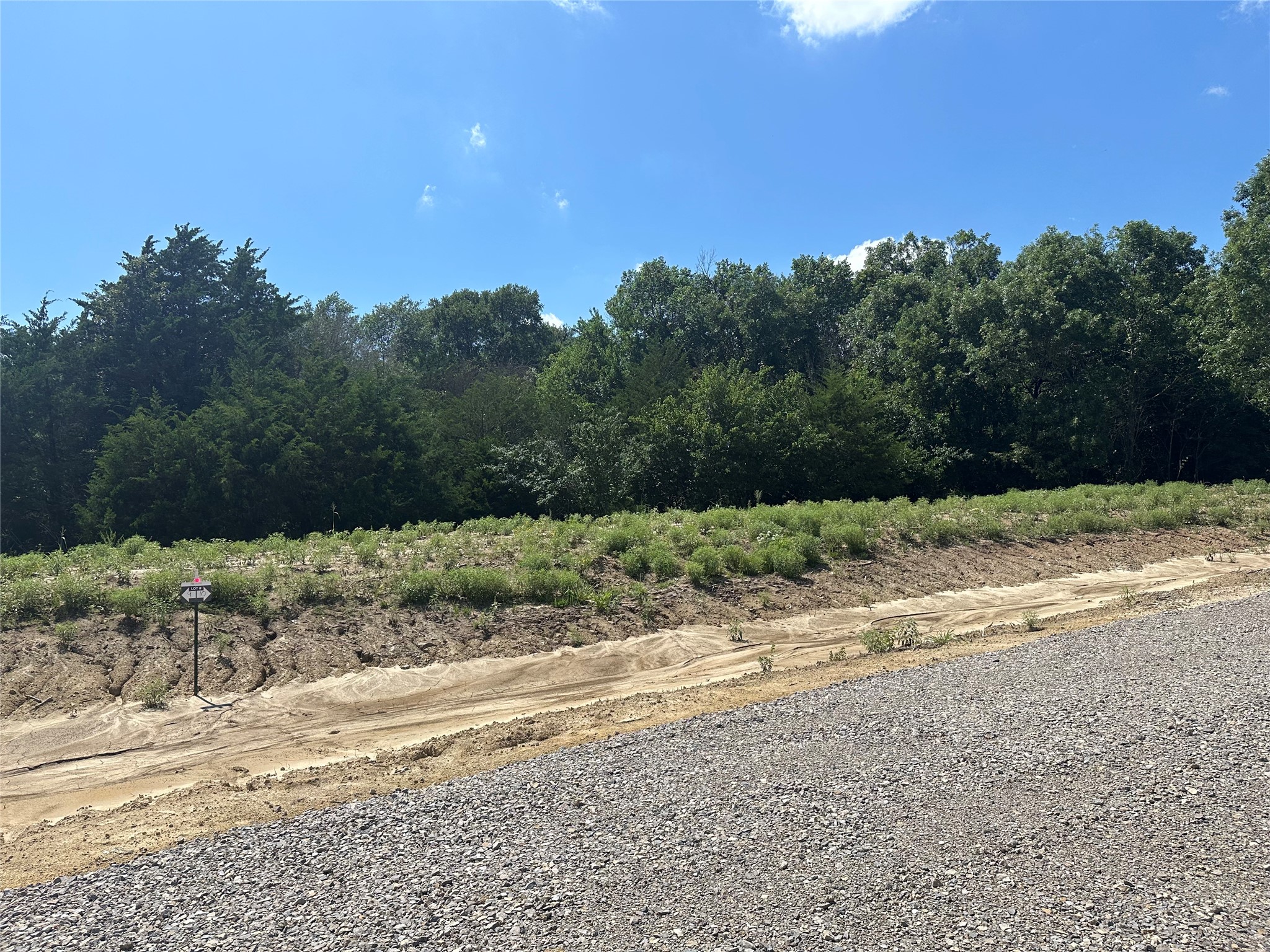 Lot 9 County Road 1110 Farmersville TX 75442