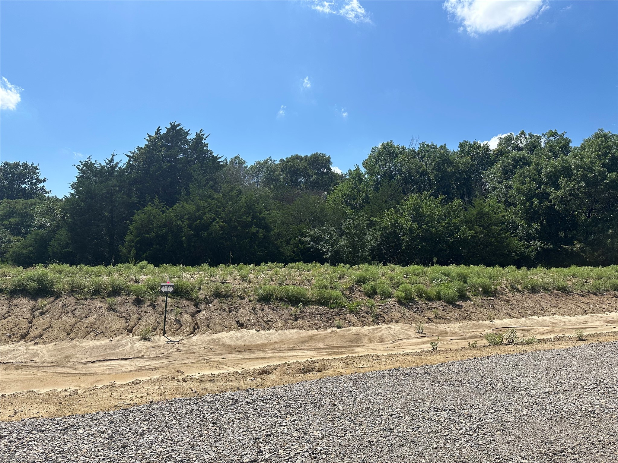 Lot 9 County Road 1110 Farmersville TX 75442