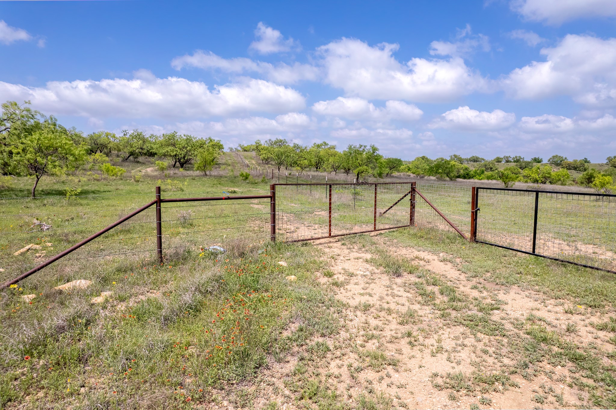 821 P.r. 4901 Goldsboro TX 79519