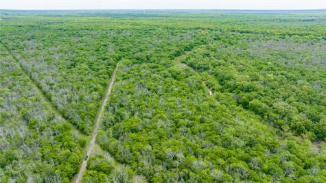 Tbd Cr 4630 Annona TX 75550