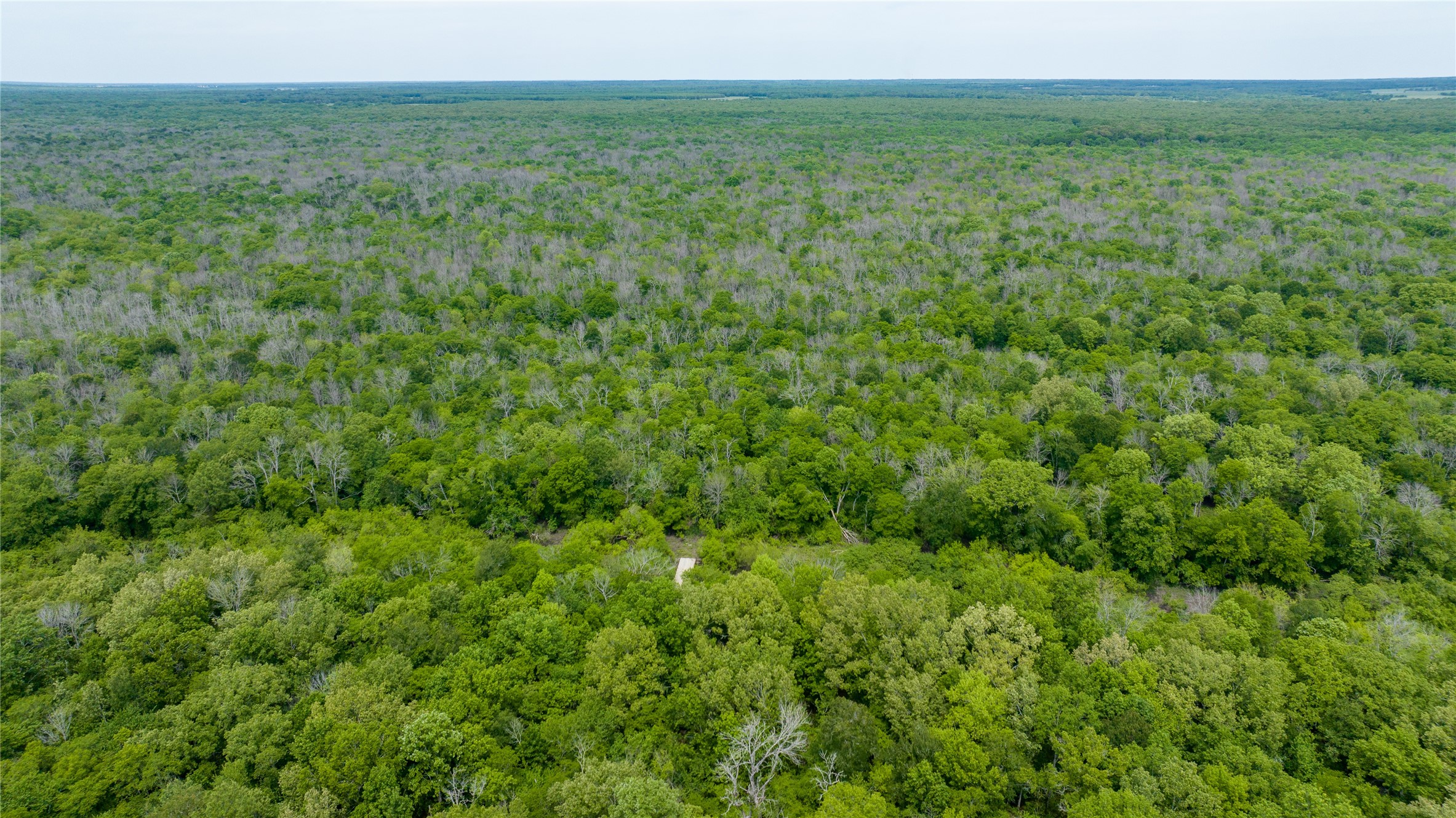 Tbd Cr 4630 Annona TX 75550