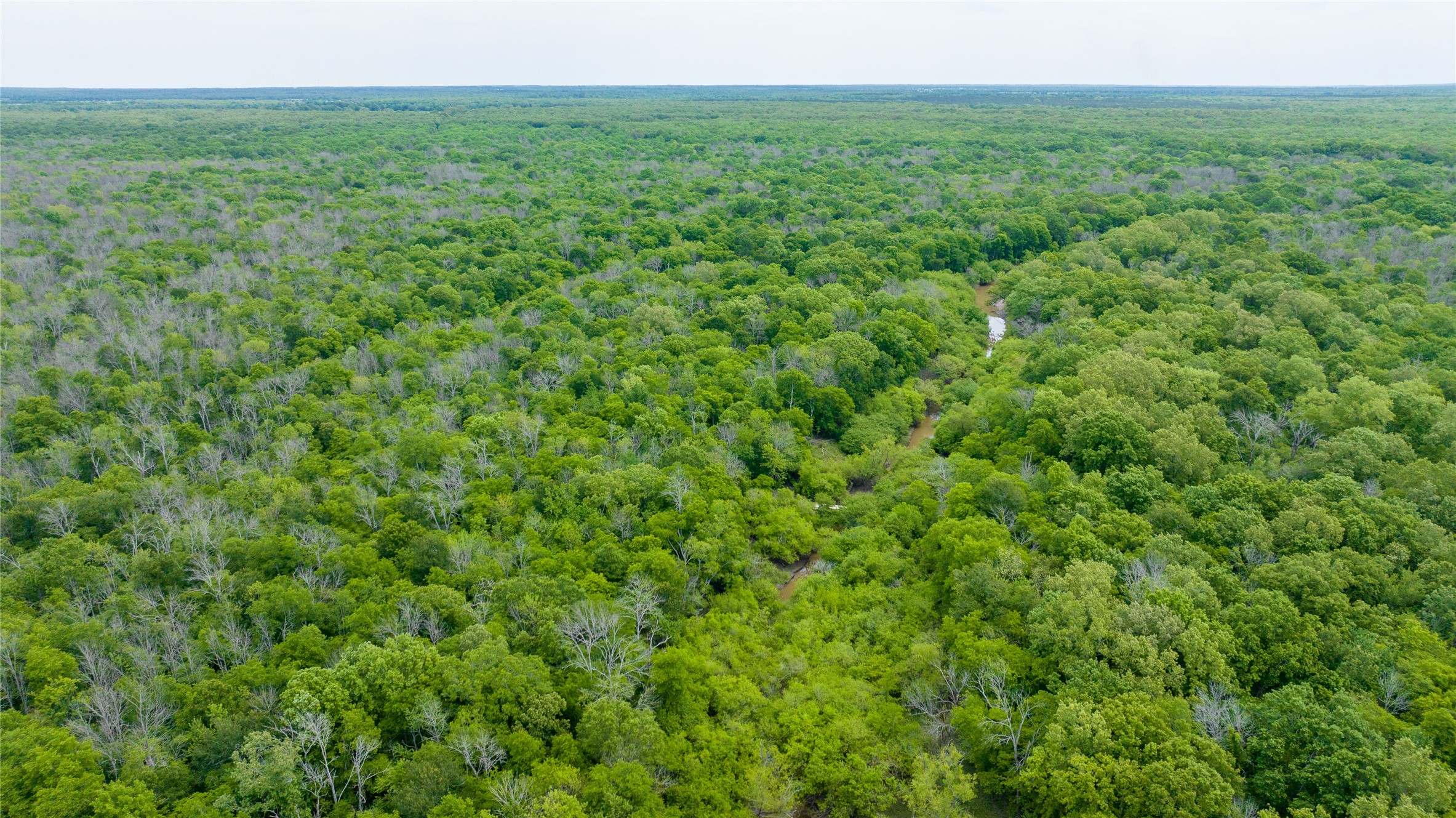 Tbd Cr 4630 Annona TX 75550