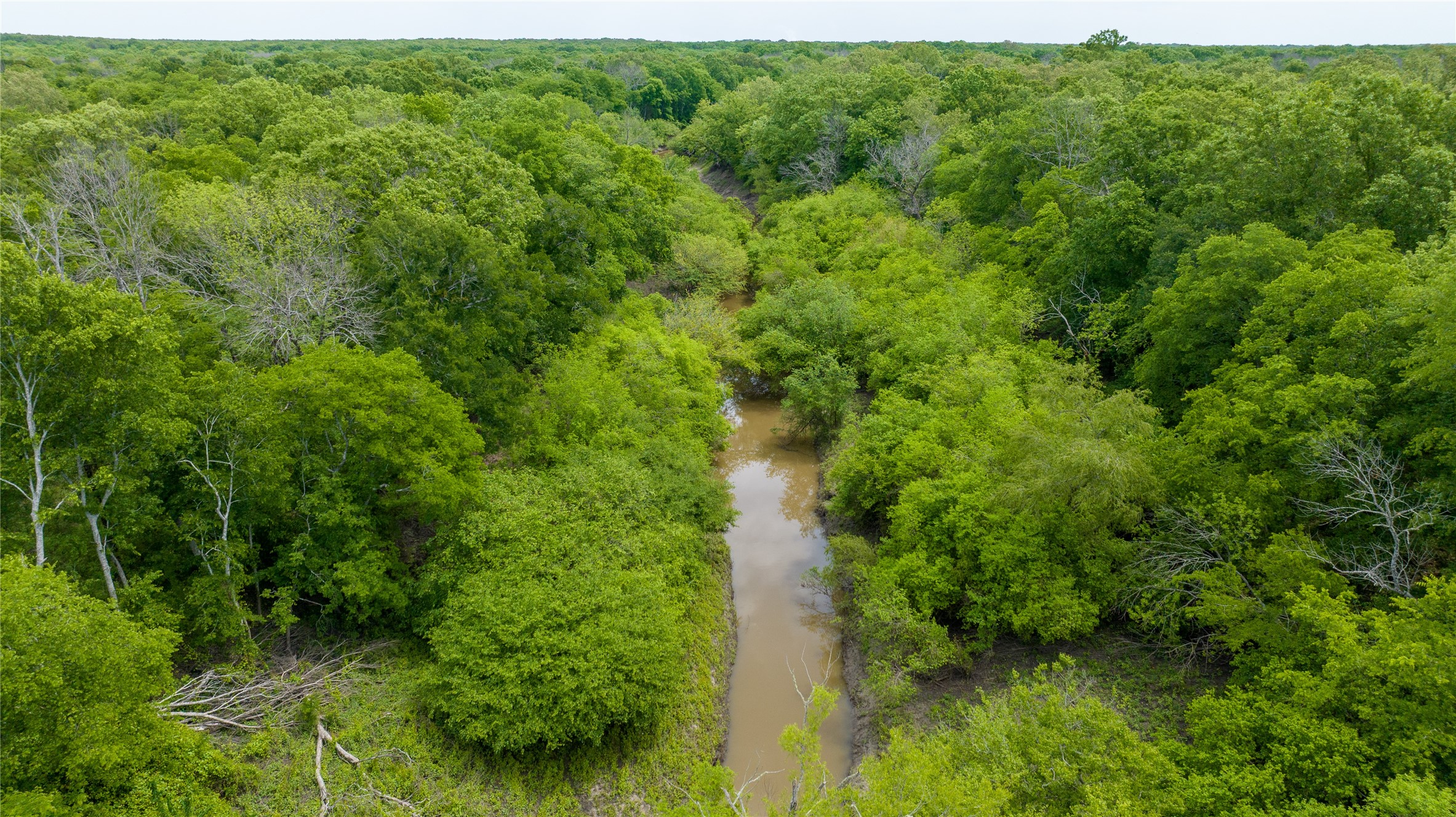 Tbd Cr 4630 Annona TX 75550