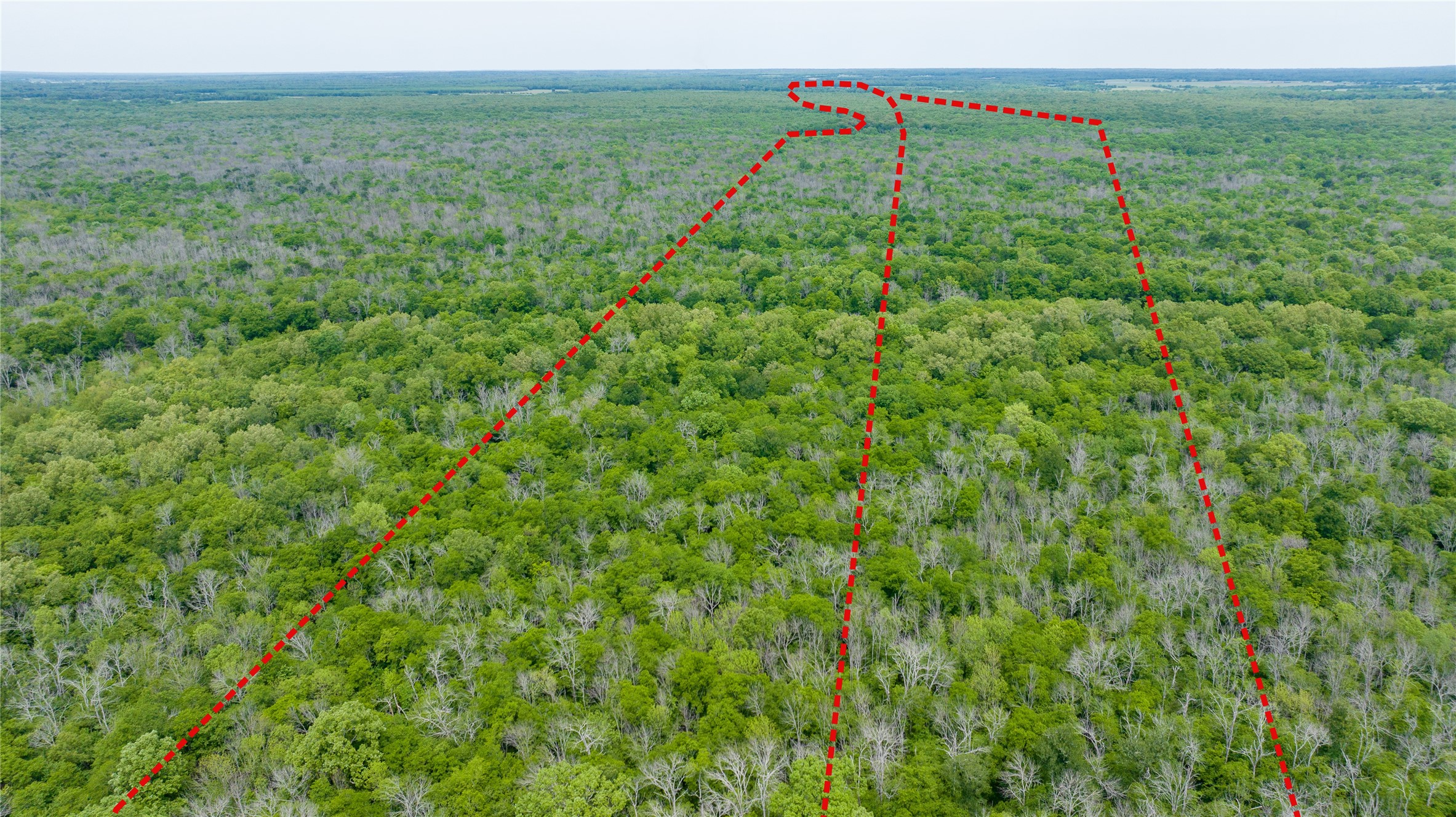 Tbd Cr 4630 Annona TX 75550