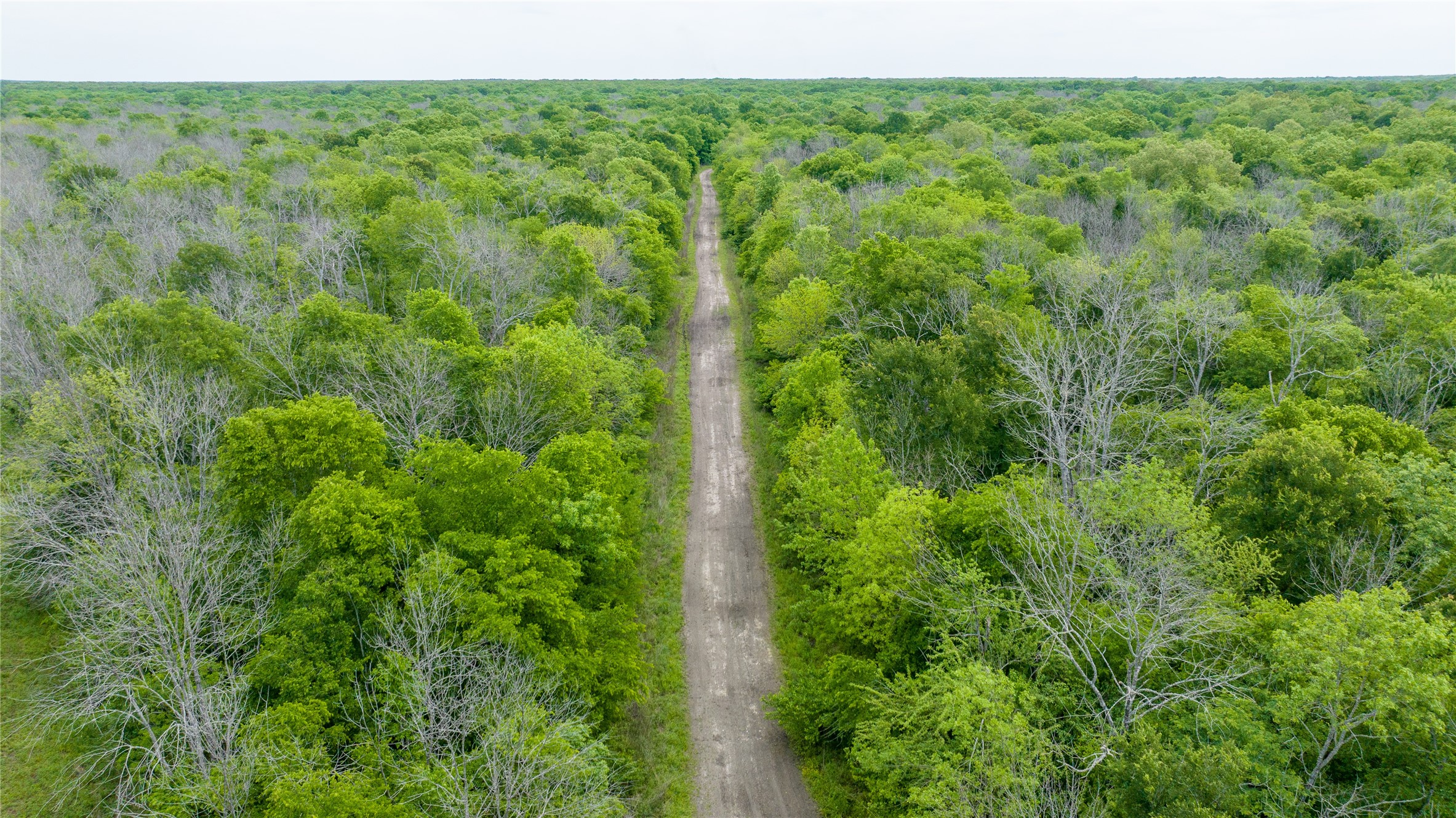 Tbd Cr 4630 Annona TX 75550