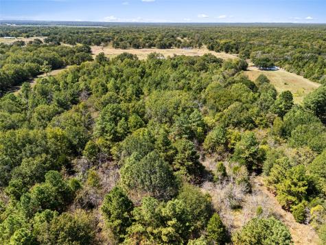 000 An County Road 2915 Palestine TX 75803