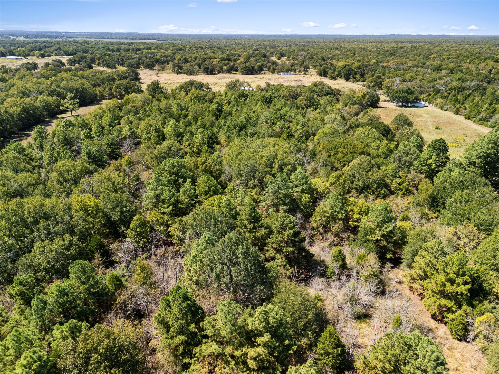 000 An County Road 2915 Palestine TX 75803