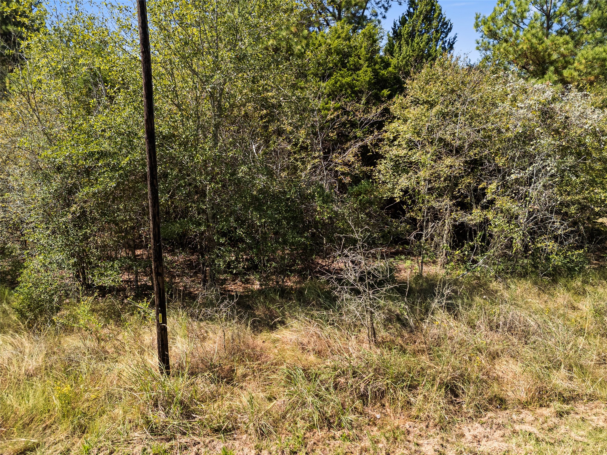 000 An County Road 2915 Palestine TX 75803