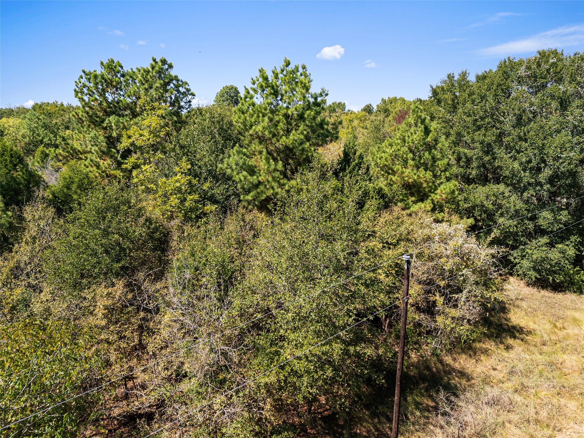 000 An County Road 2915 Palestine TX 75803