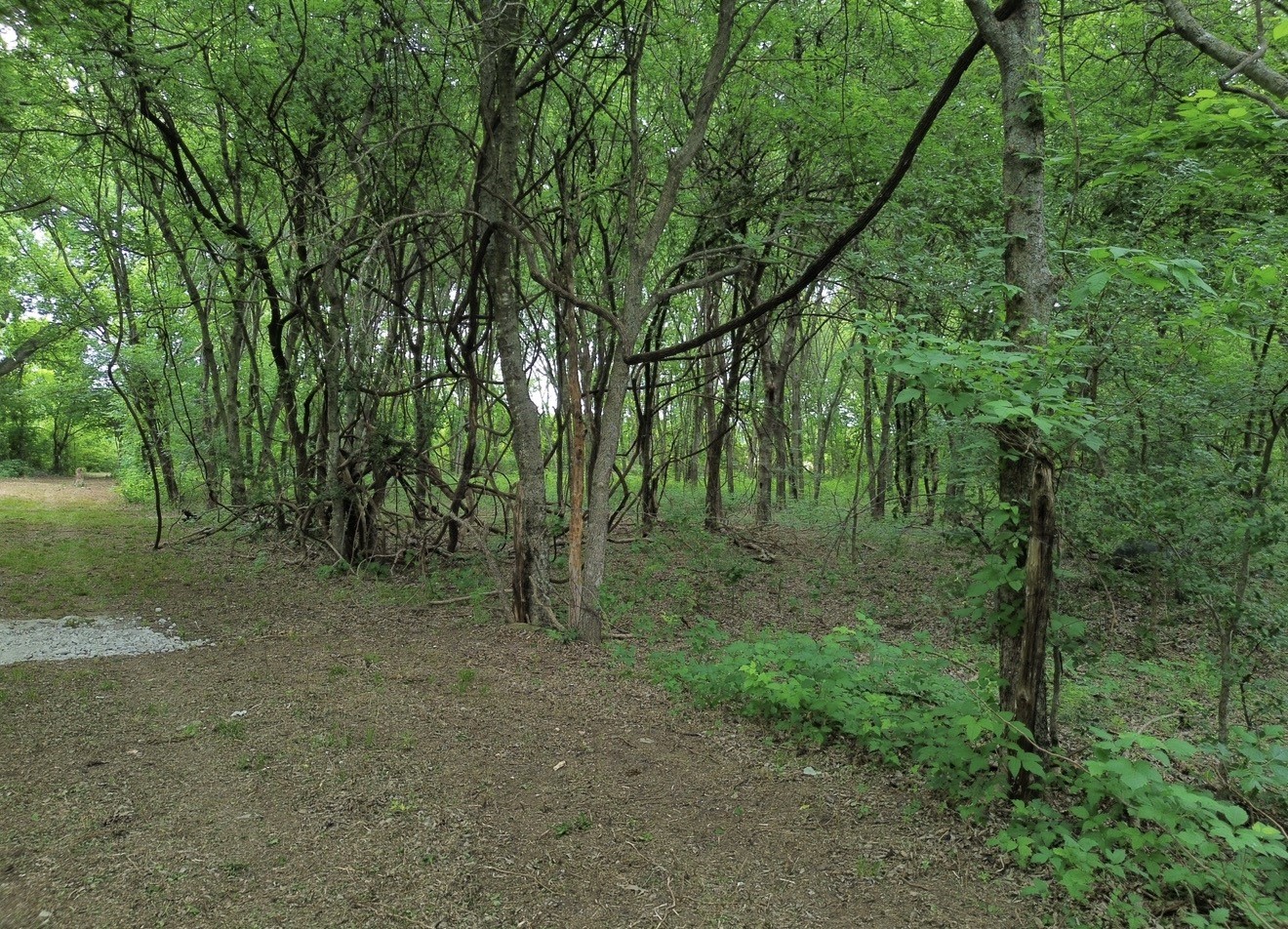 N/a Private Road Milford TX 76670