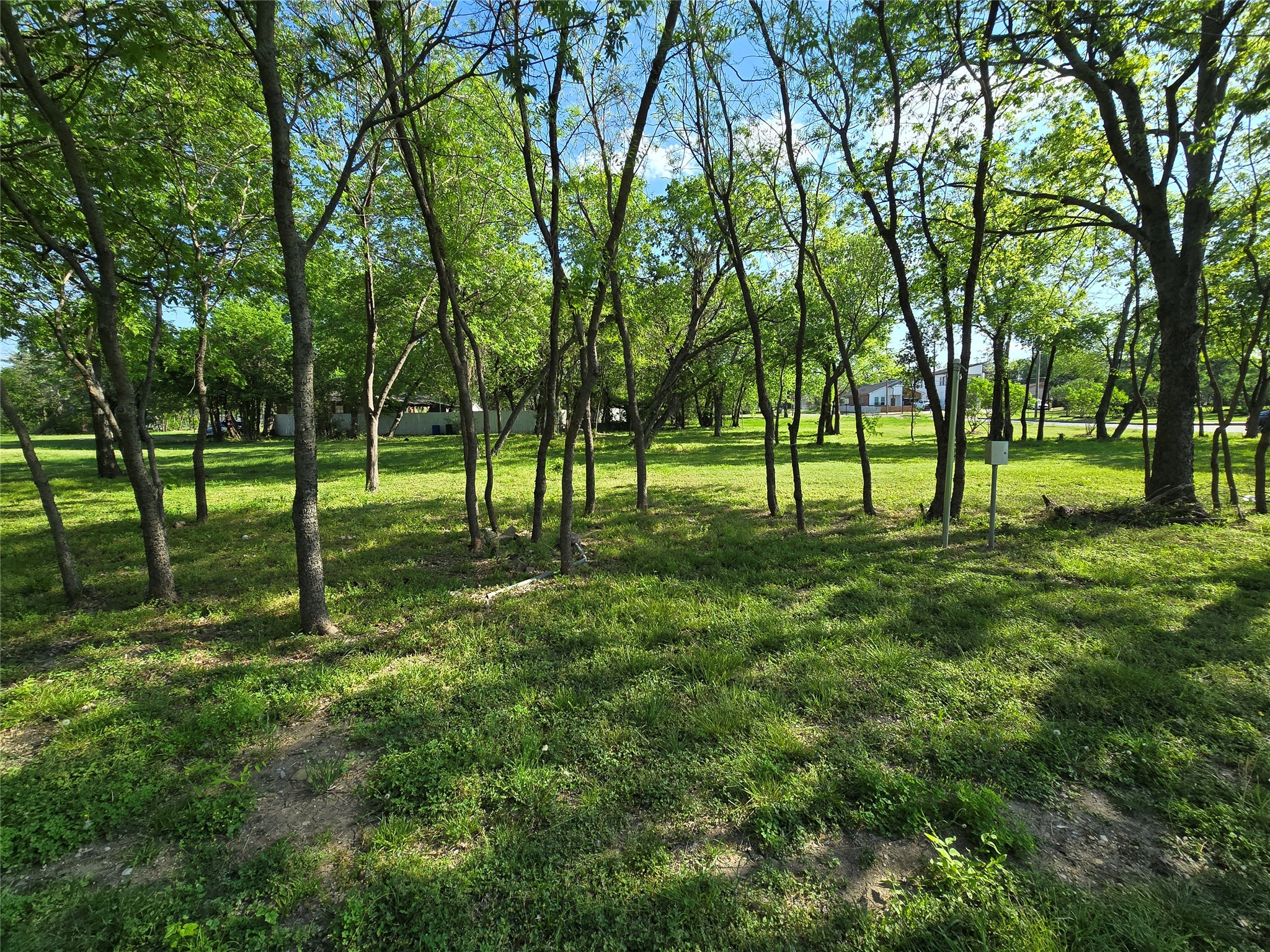 823 Millard Street Dallas TX 75203