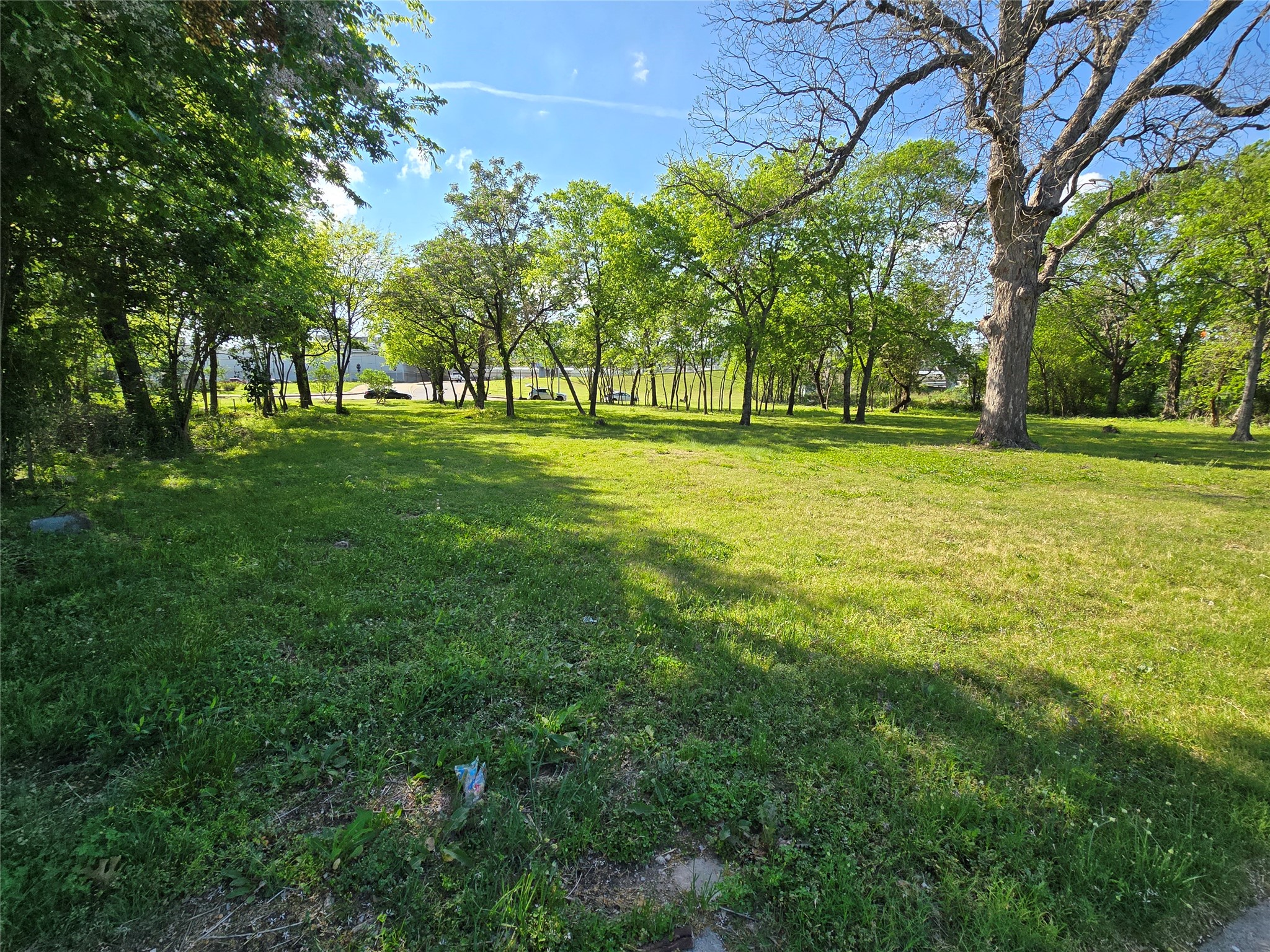 823 Millard Street Dallas TX 75203