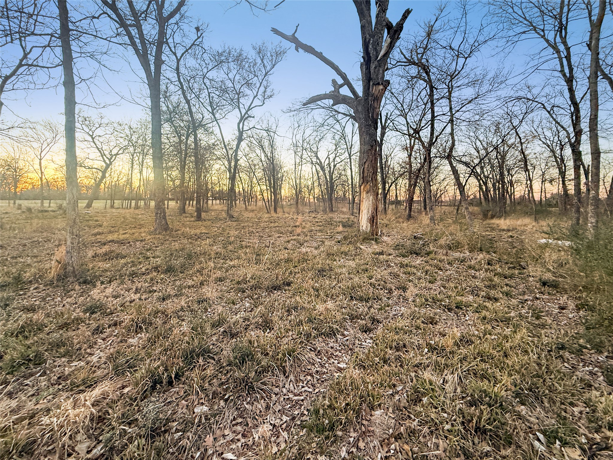 1540 E Loop 301 Sulphur Springs TX 75482