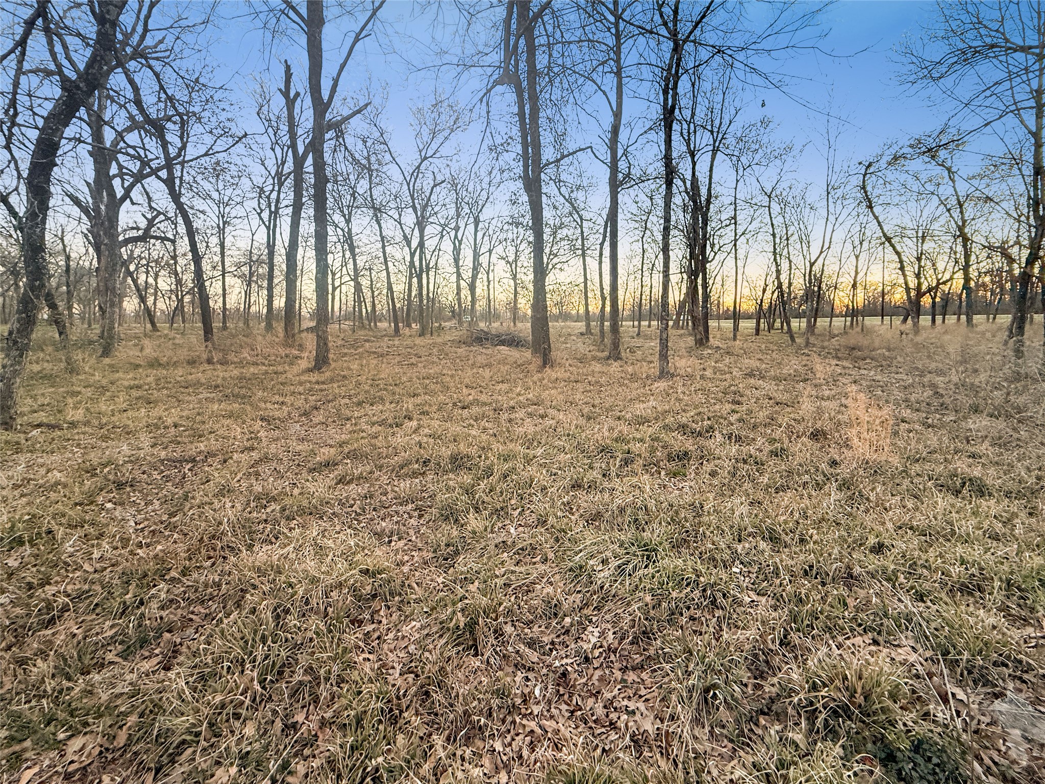 1540 E Loop 301 Sulphur Springs TX 75482