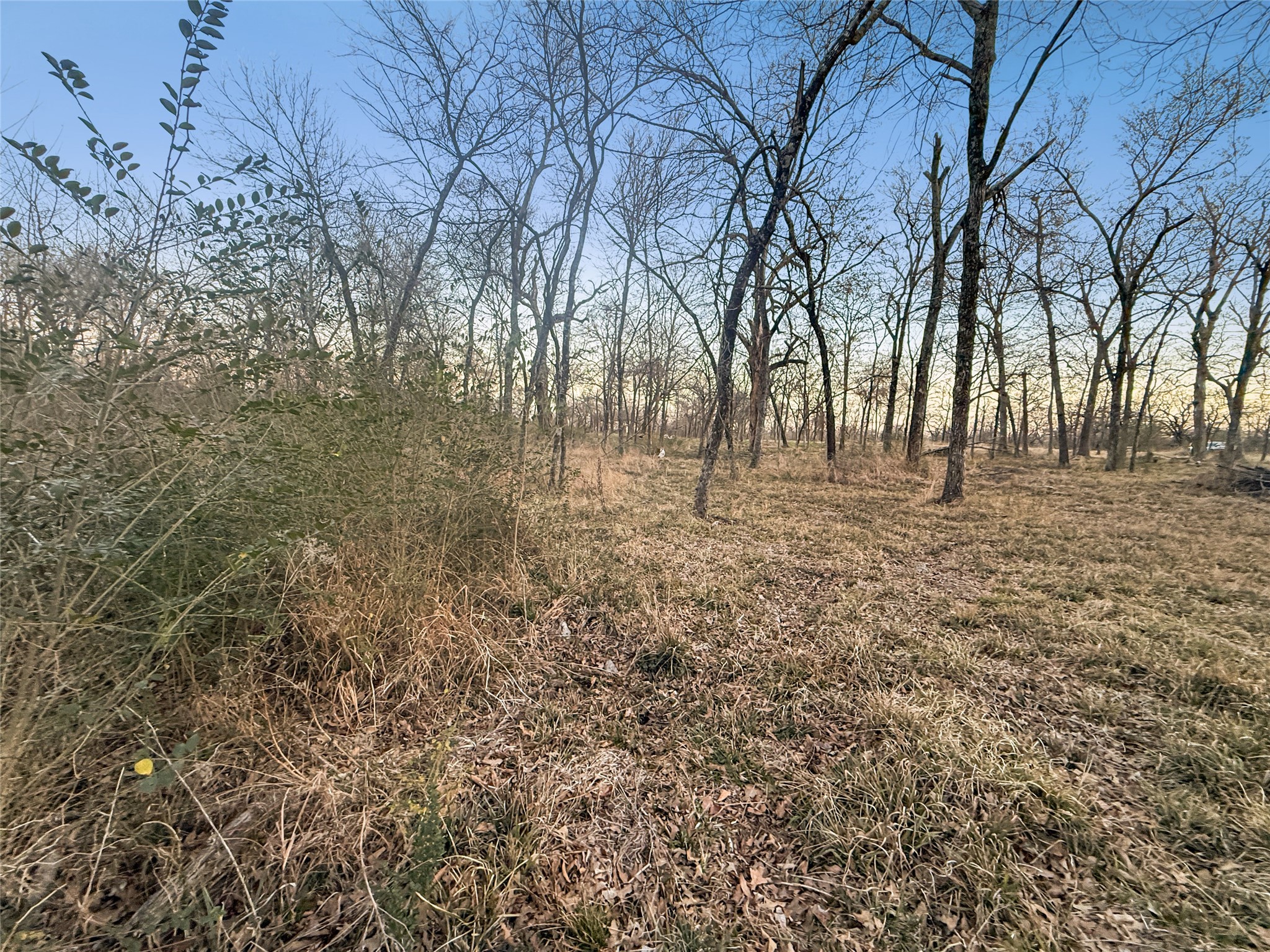 1540 E Loop 301 Sulphur Springs TX 75482