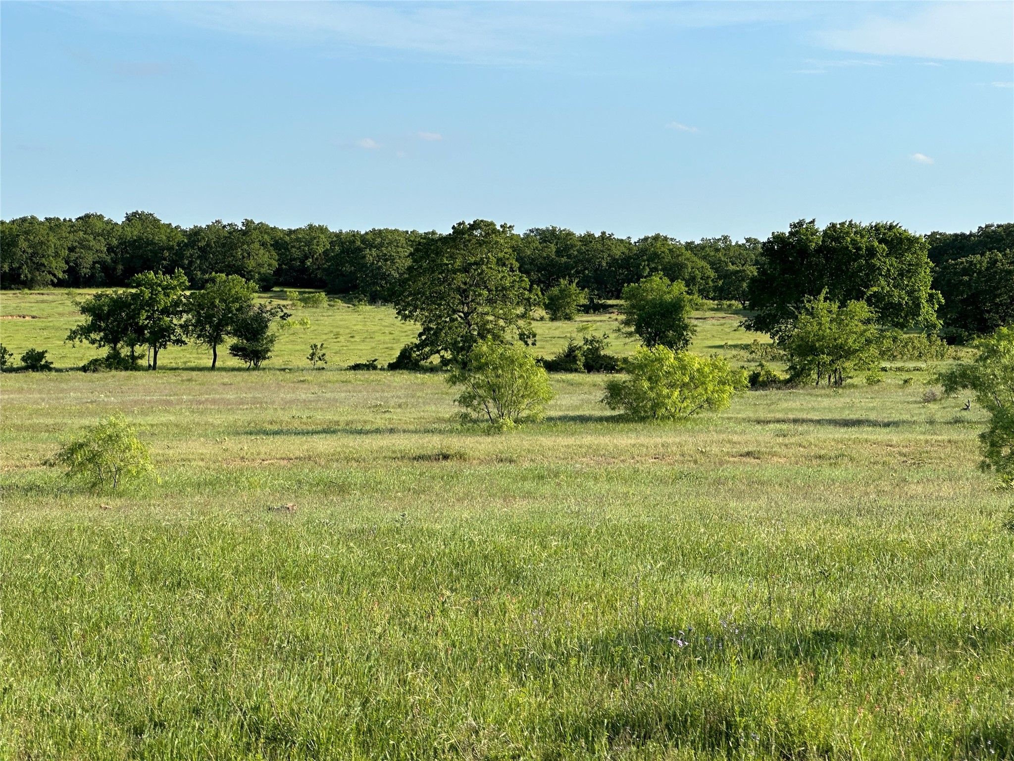 Tbd County Road 1895 Sunset TX 76270