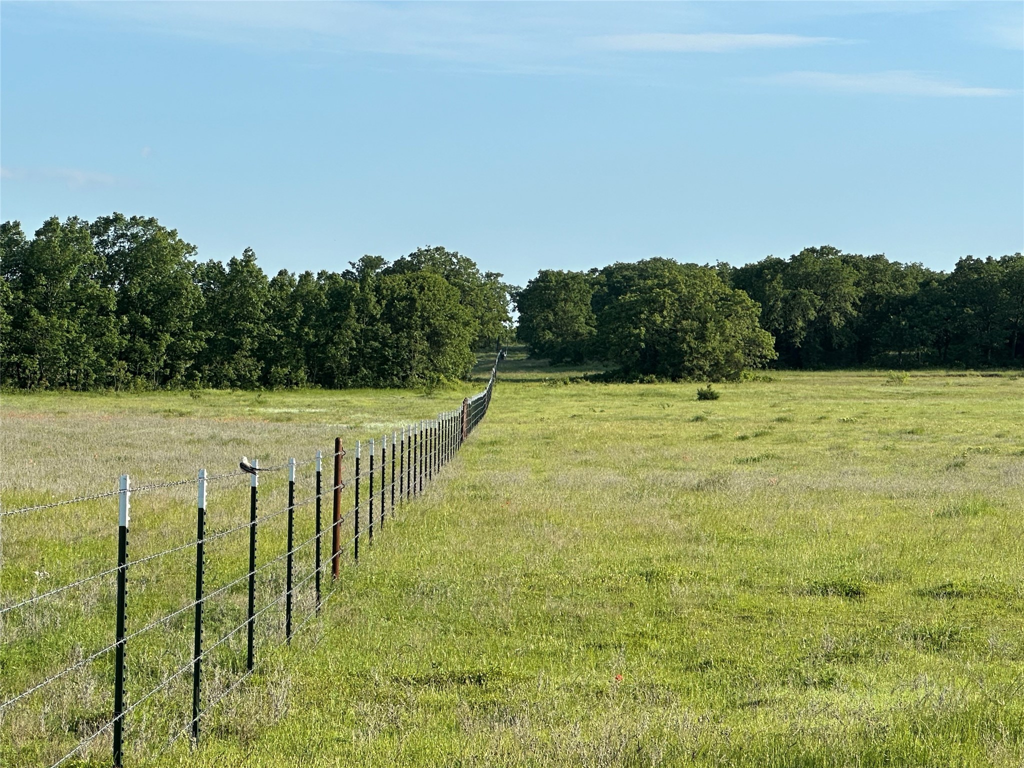 Tbd County Road 1895 Sunset TX 76270