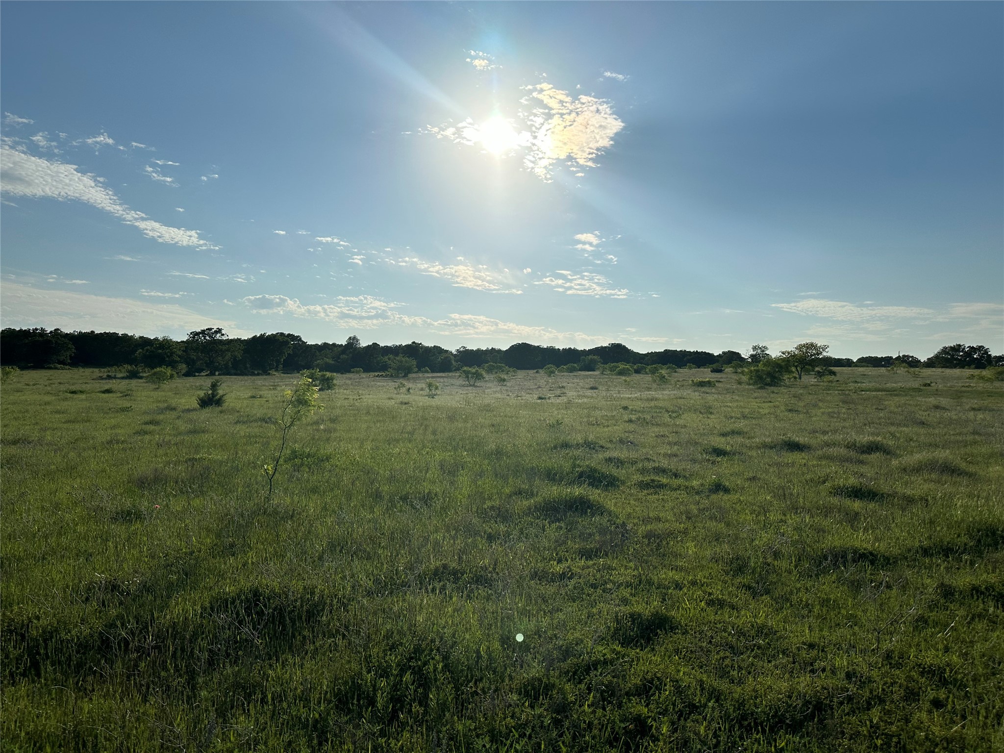 Tbd County Road 1895 Sunset TX 76270