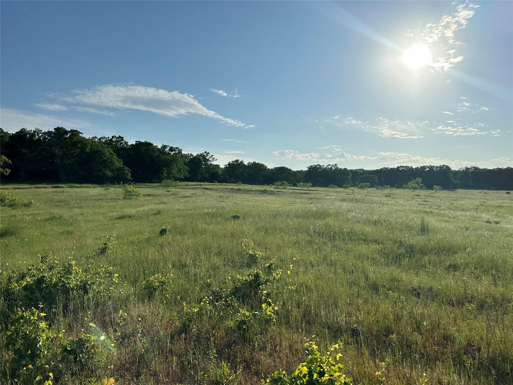 Tbd County Road 1895 Sunset TX 76270
