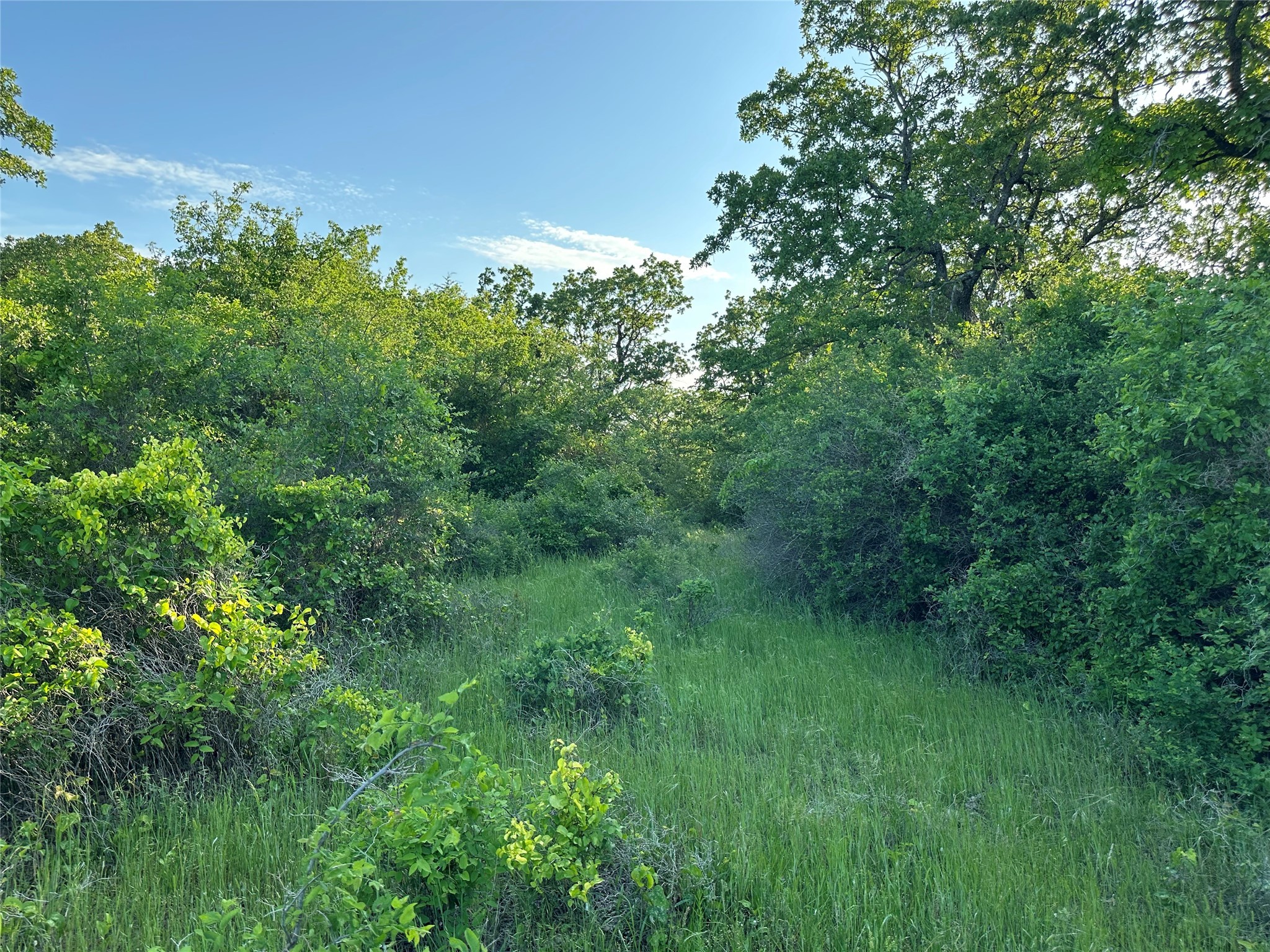 Tbd County Road 1895 Sunset TX 76270