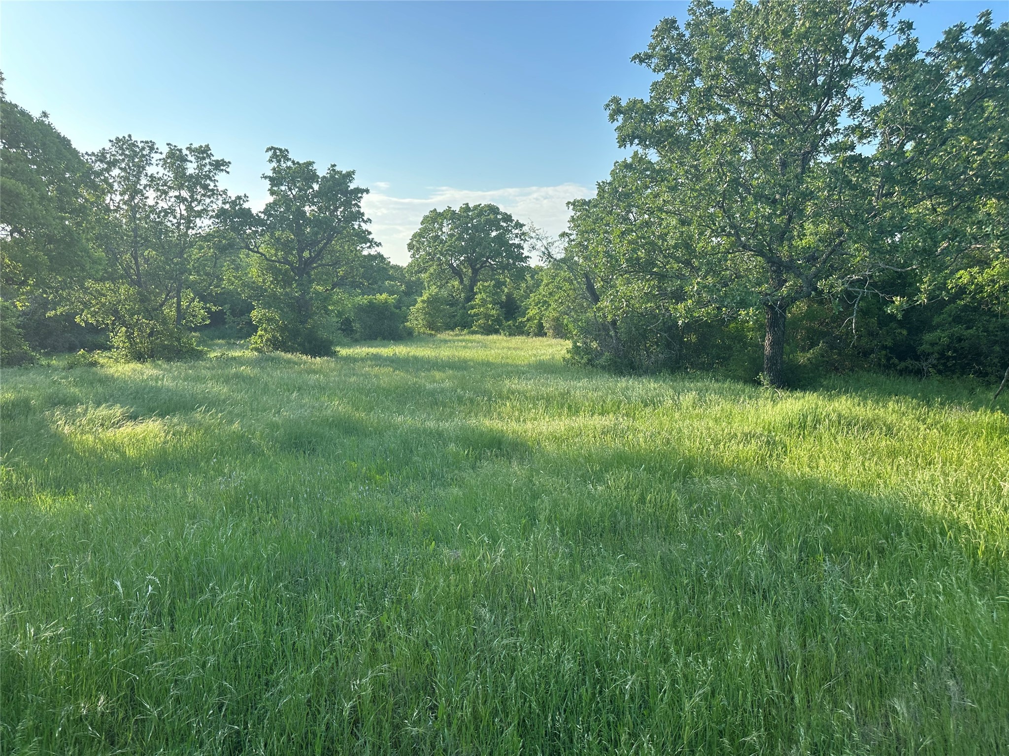 Tbd County Road 1895 Sunset TX 76270